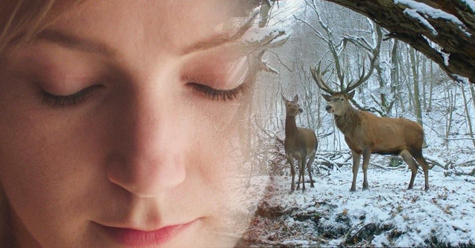 Testről és lélekről - februári vetítések a Barátság moziban