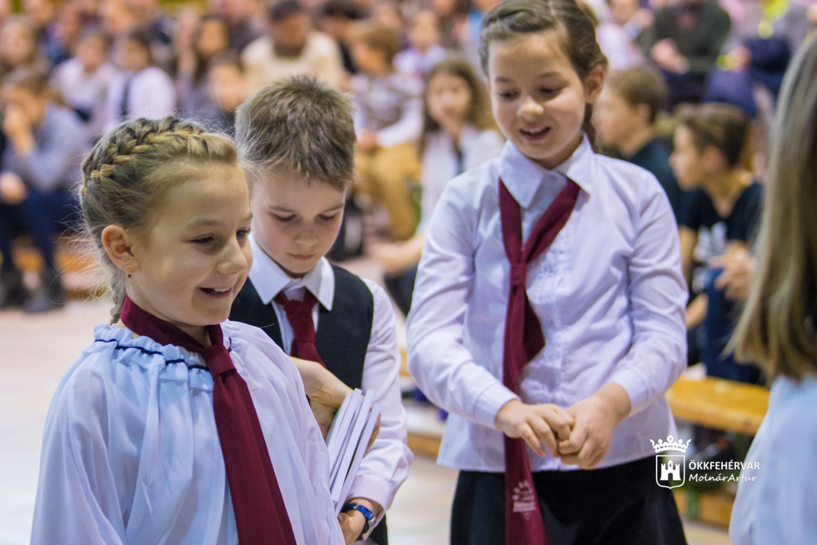Tizennégy Fejér megyei diák vehet részt a Zrínyi matekverseny országos döntőjén