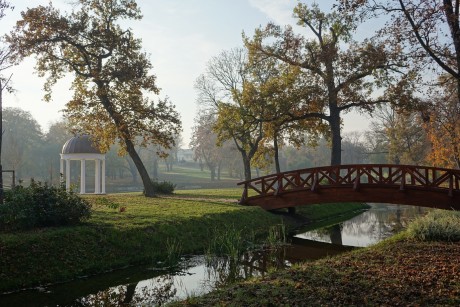 Vasárnap ismét botanikai séta lesz a Károlyi kastély parkjában