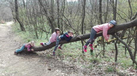 Tavaszköszöntő túra szombaton a Gyöngyvirág Természetbarát Egyesülettel