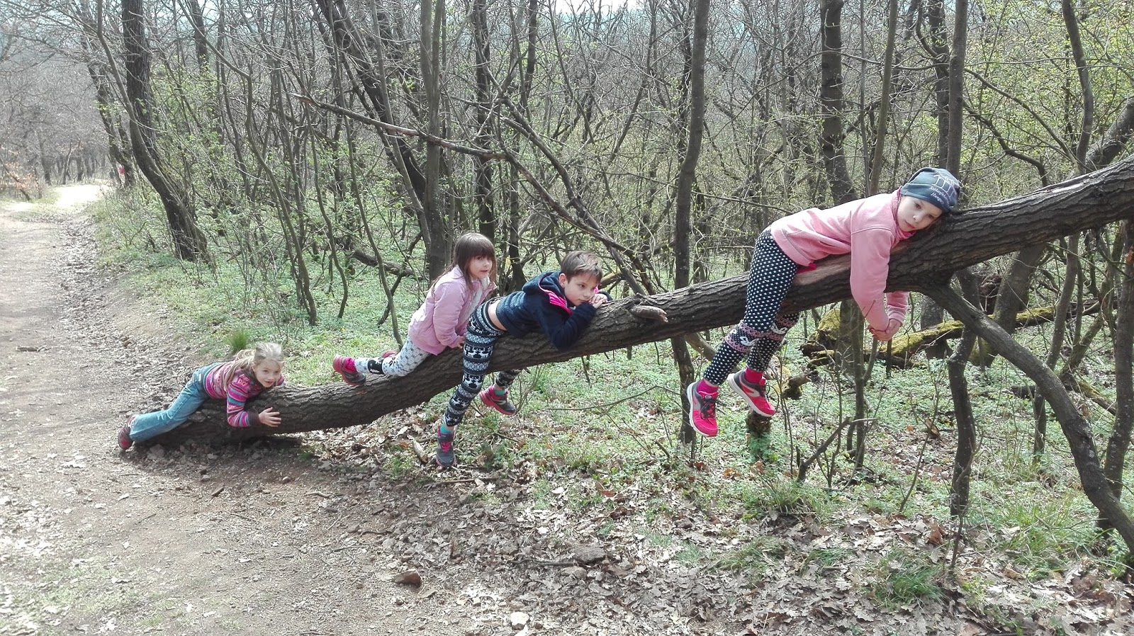 Tavaszköszöntő túra szombaton a Gyöngyvirág Természetbarát Egyesülettel