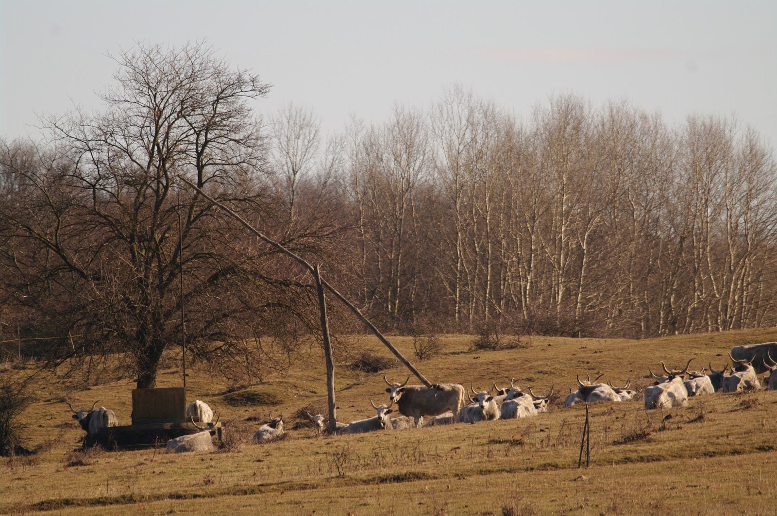 Szombati túra a VÖLGY-HÍD