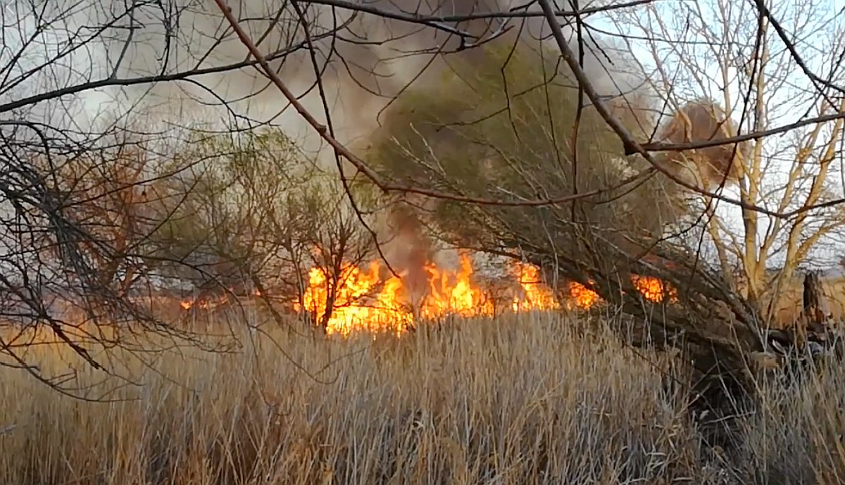 Nem érték el a lángok a gázpalackokat a hétfői nádastűznél