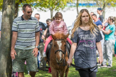 Felejthetetlen élmény a gyerekeknek – jótékonysági lovas napra várták a családokat