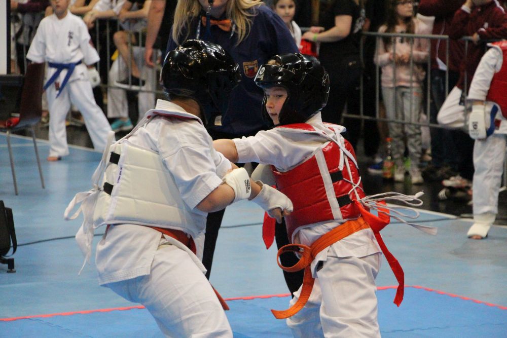 Fehérvári érmek a Karate diákolimpia országos döntőjéről
