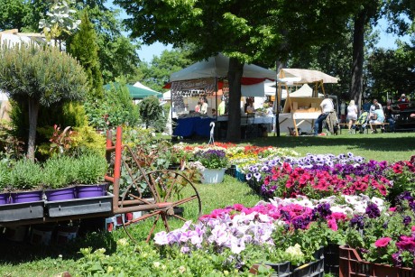 Hétvégén lesz a Kert-Expo a Bregyó Sportcentrumban