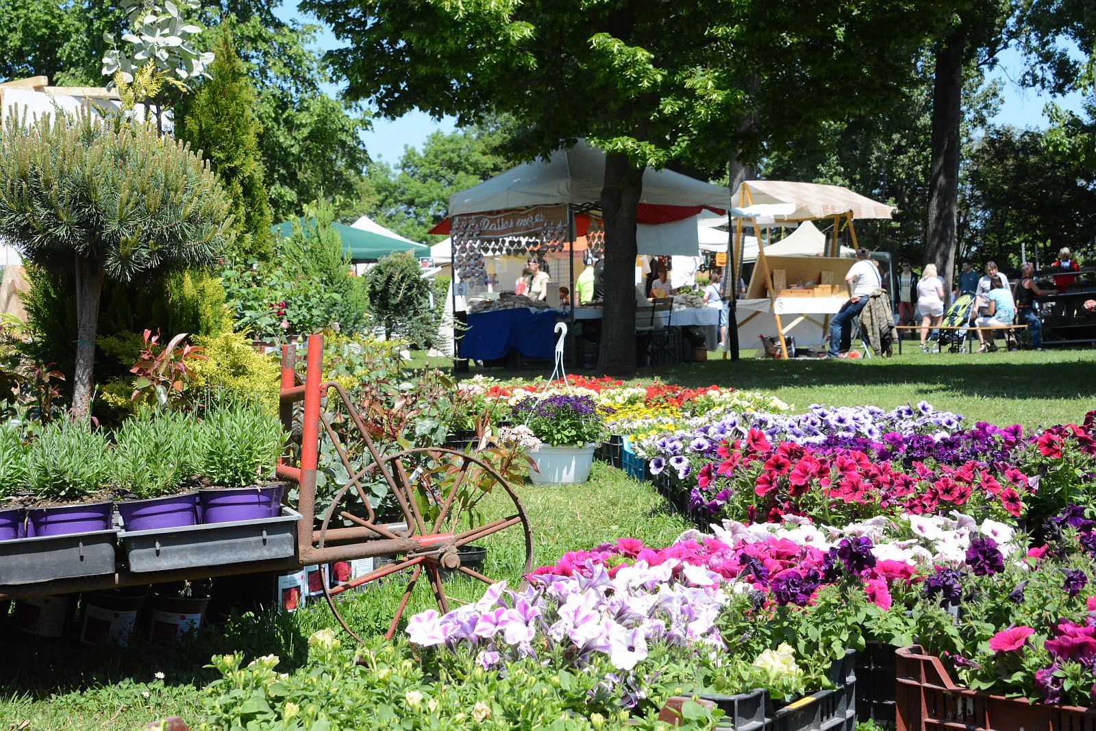 Hétvégén lesz a Kert-Expo a Bregyó Sportcentrumban
