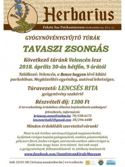Tavaszi zsongás - gyógynövénygyűjtő túra indul hétfőn Velencére