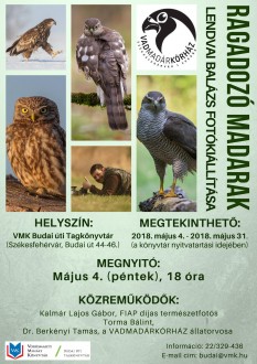 Madarak fotókon és élőben – páratlan kiállítás a Budai úti könyvtárban