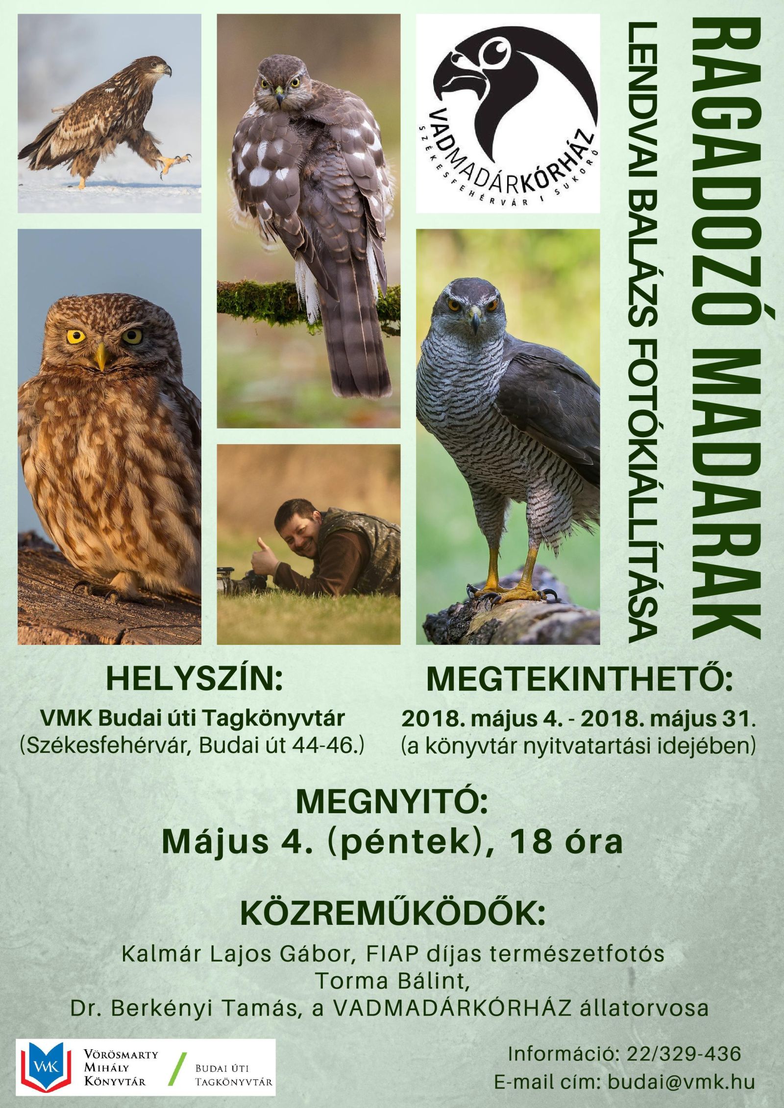 Madarak fotókon és élőben – páratlan kiállítás a Budai úti könyvtárban