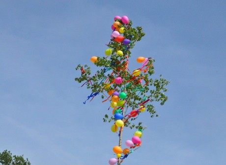 Májusfát állítottak a Feketehegy-Szárazréti Közösségi Központ udvarára