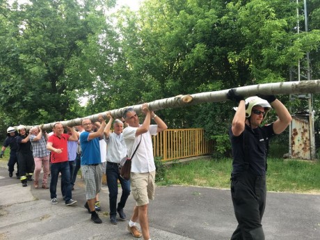 A Vasvári Pál Általános Iskola előtt állították fel a Fehérvár májusfáját