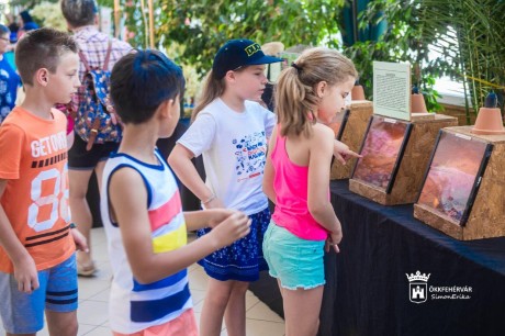 Ingyenes szűrésekkel és sportprogramokkal várta a családokat a Királyi Vigasságok