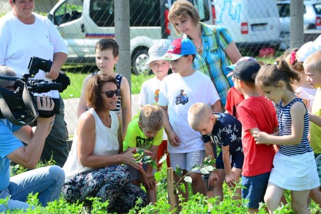 Tündérkert a Krasznai utcában - őshonos gyümölcsfákat ültettek az Öreghegyen