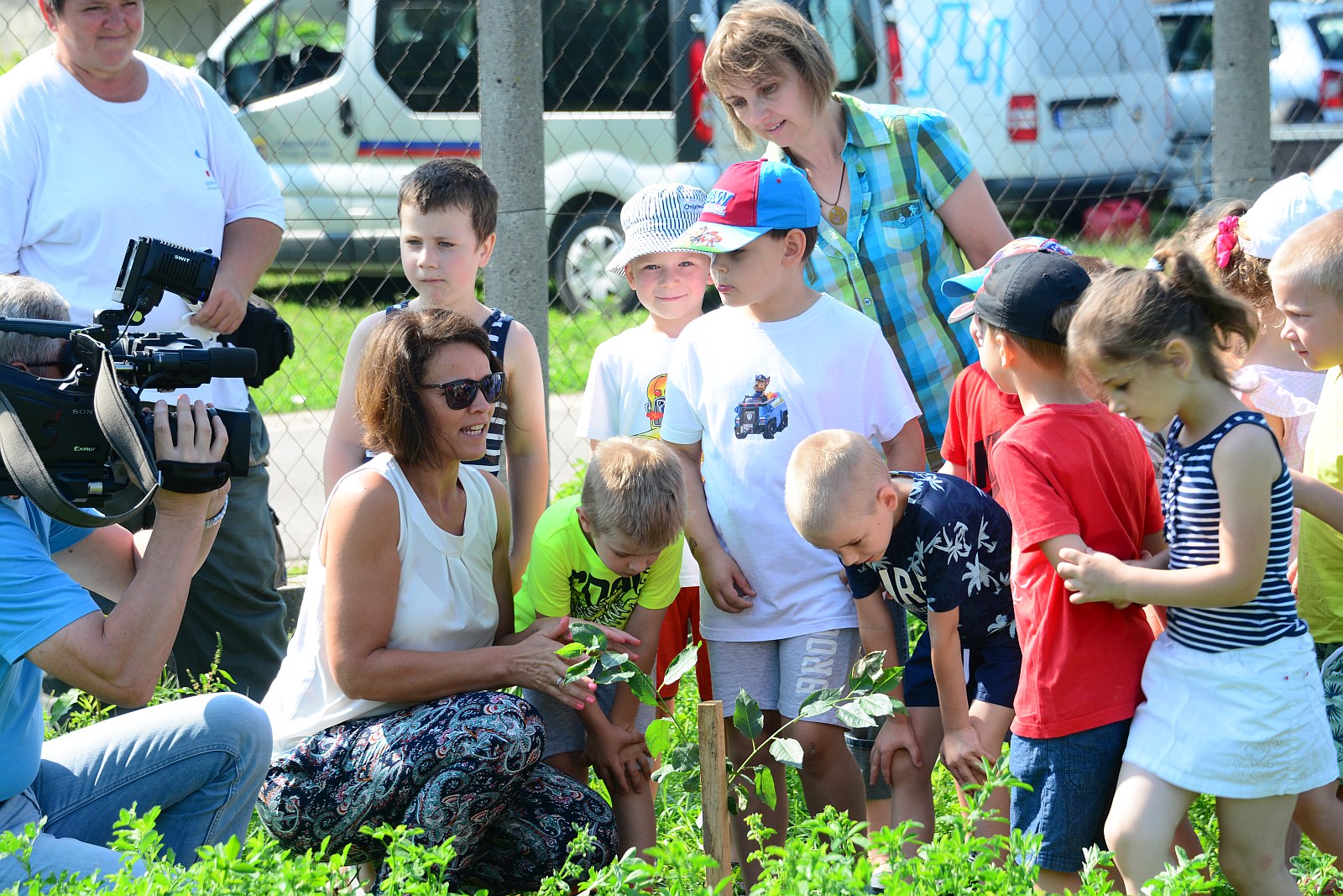 Tündérkert a Krasznai utcában - őshonos gyümölcsfákat ültettek az Öreghegyen