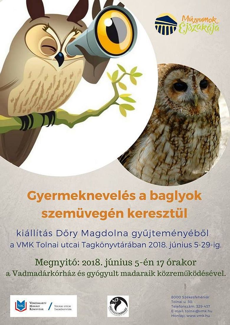 Baglyos kiállítás nyílik a Tolnai utcai könyvtárban az Ünnepi Könyvhéten