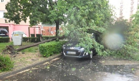 Fakidőlésekhez is riasztották a tűzoltókat a szerdai felhőszakadás után