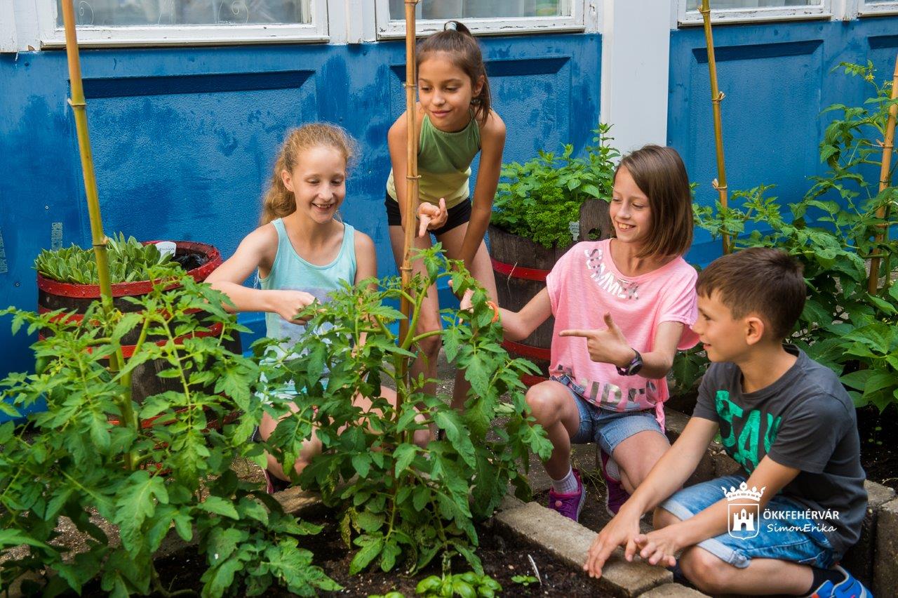 Az egészséges étkezésért és életvitelért - tankonyhát és kertet avattak Tóvárosban
