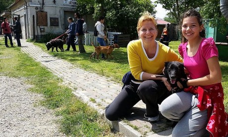 Állati nyílt nap lesz vasárnap a HEROSZ Állatotthonban