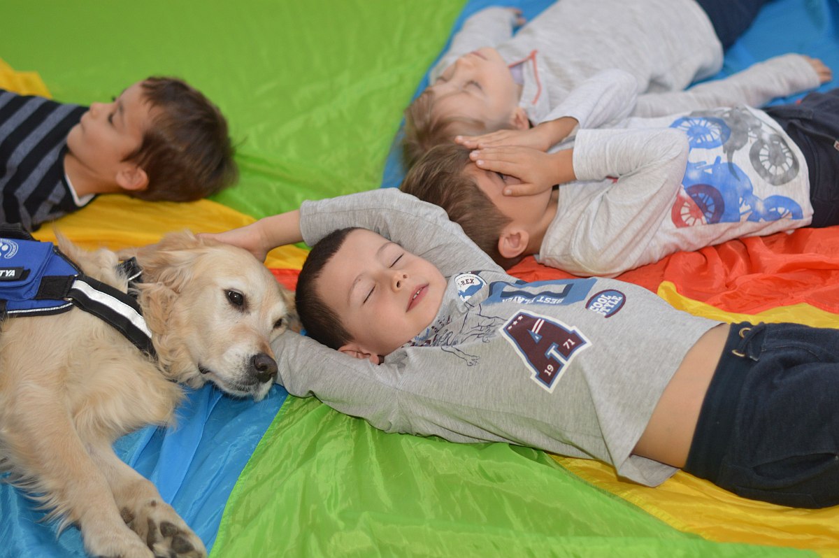 Terápiás kutyák a gyermekek szolgálatában Székesfehérváron