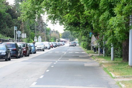 Kedden kezdődik a Zombori út felújítása - terelőúton jár a 17-es és a 22-es