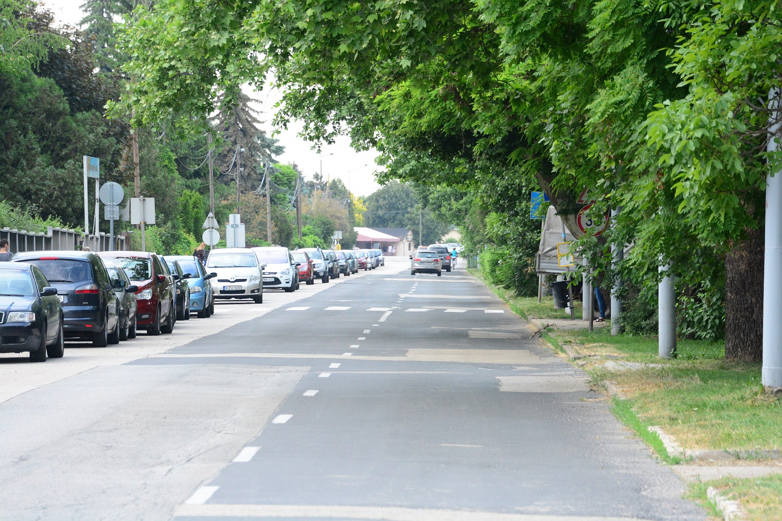 Kedden kezdődik a Zombori út felújítása - terelőúton jár a 17-es és a 22-es
