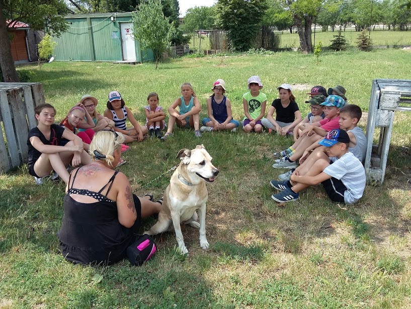 Napközis tábor az állatotthonban -  lehet még jelentkezni a harmadik turnusra