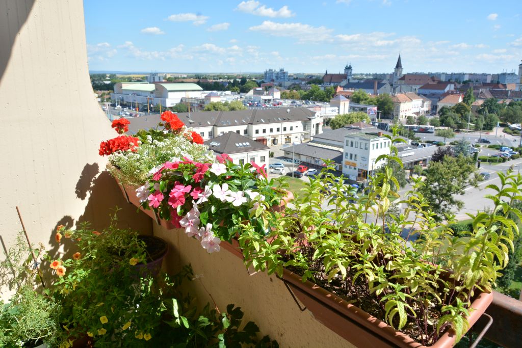 Panelkertészek akcióban – nyári virágos erkélyek Fehérváron