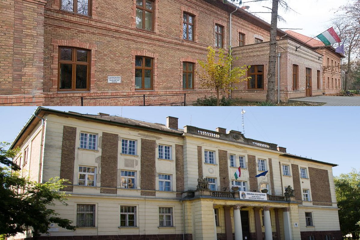 Nyilvánosak a felvételi ponthatárok – ennyi kellett a fehérvári képzésekhez