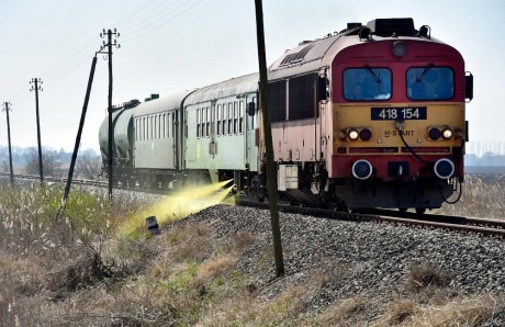 Vegyszeres gyomirtás lesz a Börgönd–Sárbogárd szakasz vágányai mellett