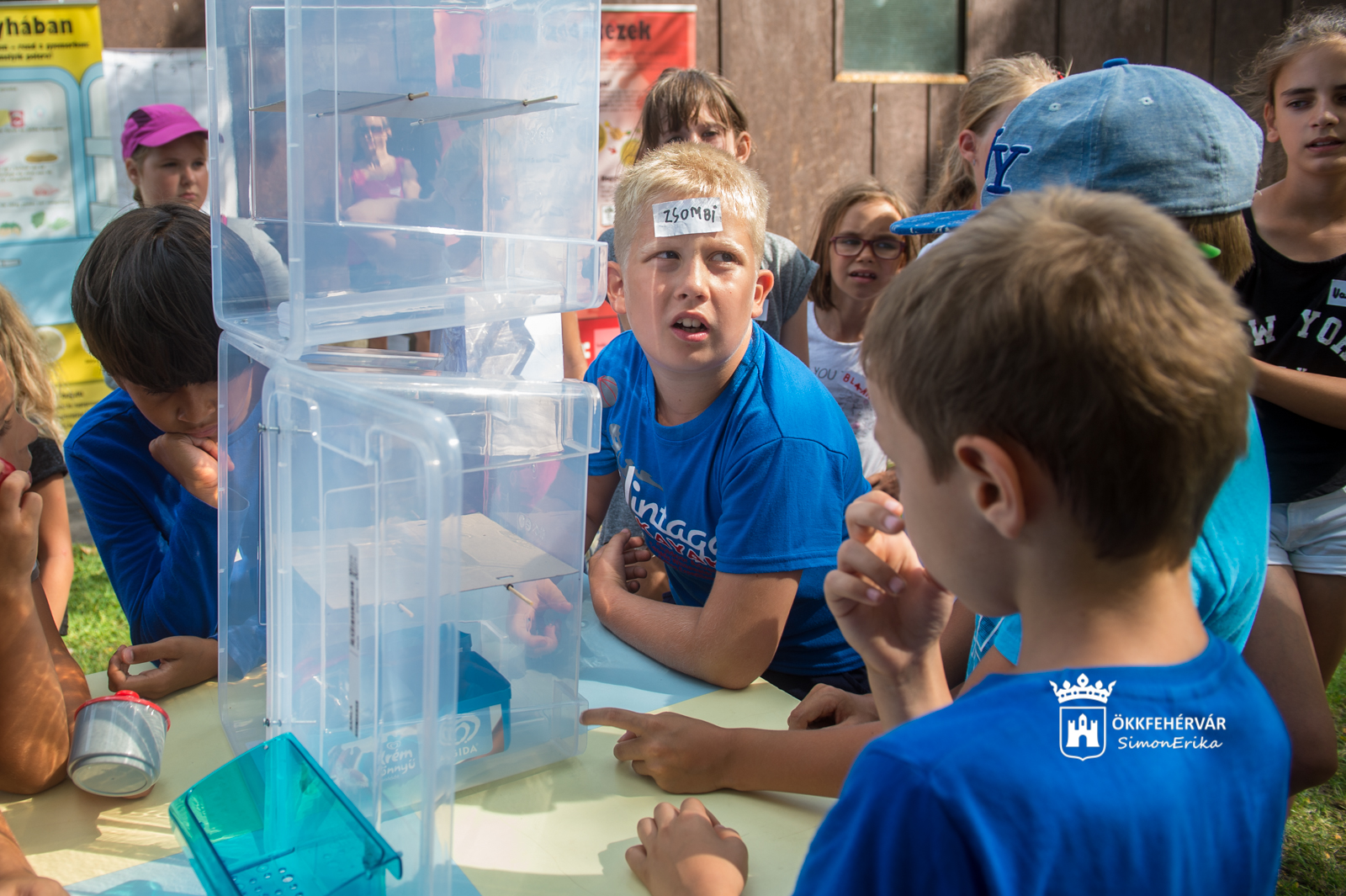 Apró lények a konyhában - egészségfejlesztés a Napraforgó táborban