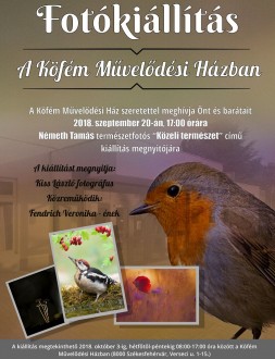 Közeli természet - csütörtökön nyitják meg Németh Tamás, fotográfus kiállítását