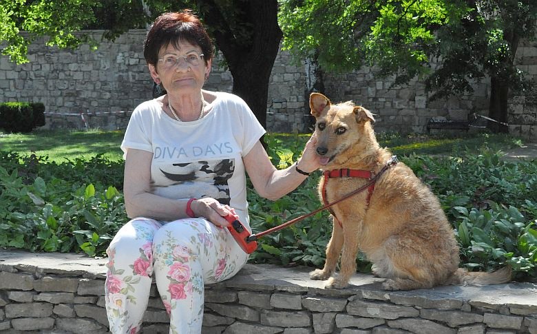 A maga kutyája meg az én kutyám sétálgat a mi utcánkban...