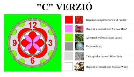 Virágóra – a C verzióra szavaztak a legtöbben
