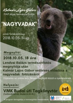 Nagyvadak - Kalmár Lajos Gábor, természetfotós kiállítása a Budai úti Tagkönyvtárban