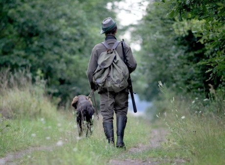 Kiállítás nyílik Fejér megye vadászatáról a múzeumban