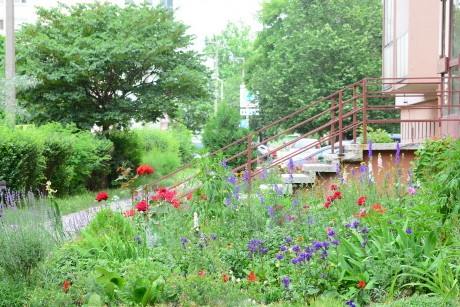 Pályázzon Ön is virágokra a Városgondnokságnál - másfél hétig lehet még jelentkezni