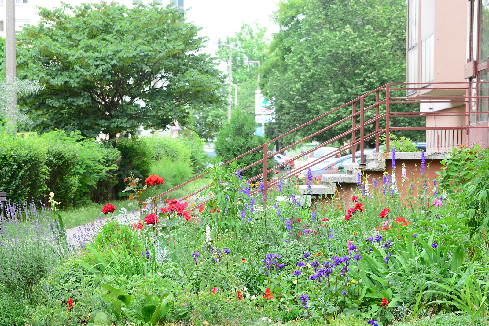 Pályázzon Ön is virágokra a Városgondnokságnál - másfél hétig lehet még jelentkezni