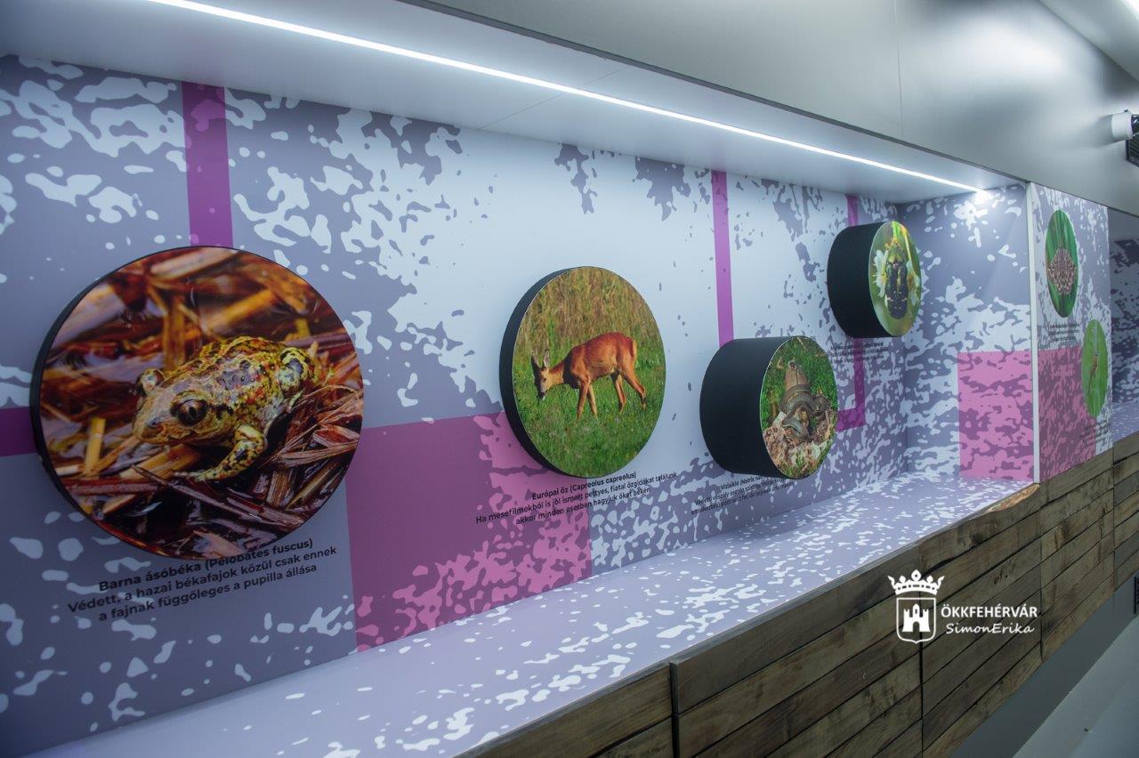 A Sóstó rehabilitációjáról készült filmmel avatták fel a Látogatóközpontot