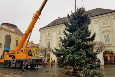 Az Adonyi útról érkezett a Városház térre Fehérvár fenyőfája