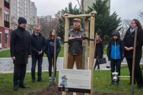 Édenkert a Jávor Ottó téren - almafát ültettek a Vörösmarty Színház rendezői
