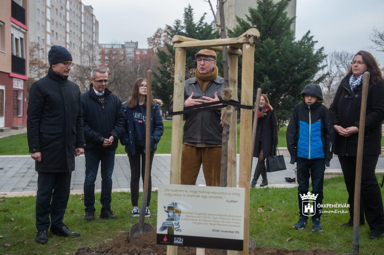 Édenkert a Jávor Ottó téren - almafát ültettek a Vörösmarty Színház rendezői