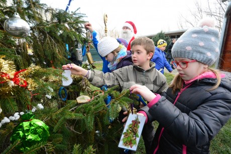 Pénteken ünneplik az állatok karácsonyát a HEROSZ Fehérvári Állatotthonában
