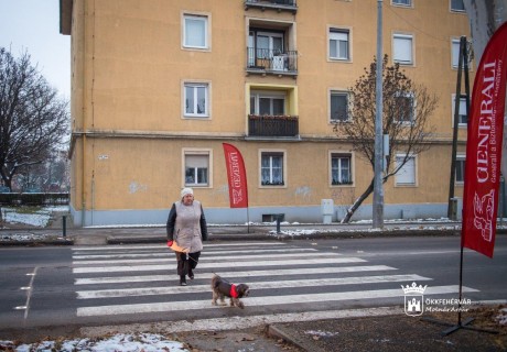 SafeCross okos zebra védi a gyalogosokat a Horvát István és a Gyümölcs utca között