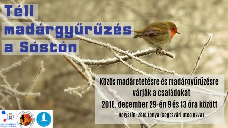 Közös téli madárgyűrűzés lesz szombaton a Zöld tanyánál