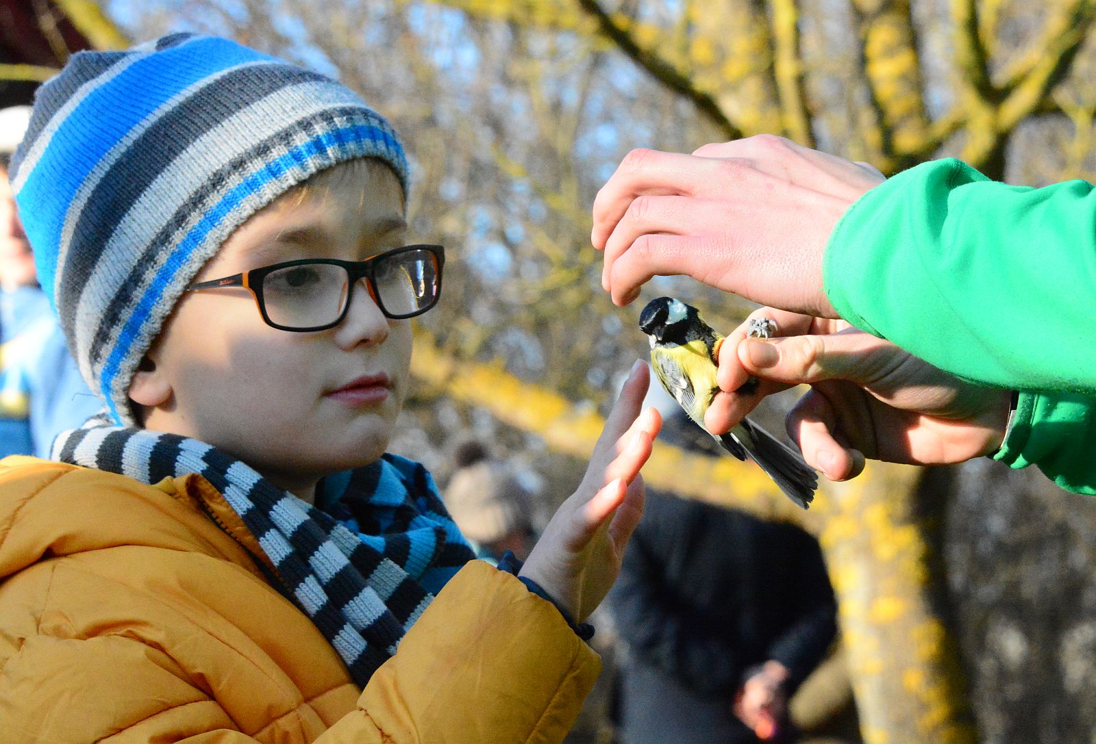 Gyerekek engedték el a meggyűrűzött madarakat a Sóstón