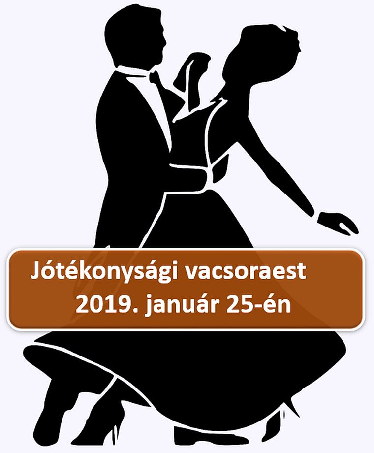 Jótékonysági vacsoraesttel támogatják a Kárpát-medencei szakképzést