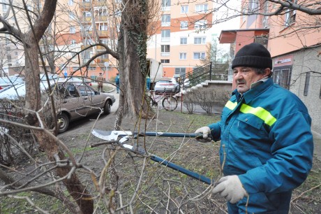 Elkezdték a tél végi metszést a kertészek a város parkjaiban