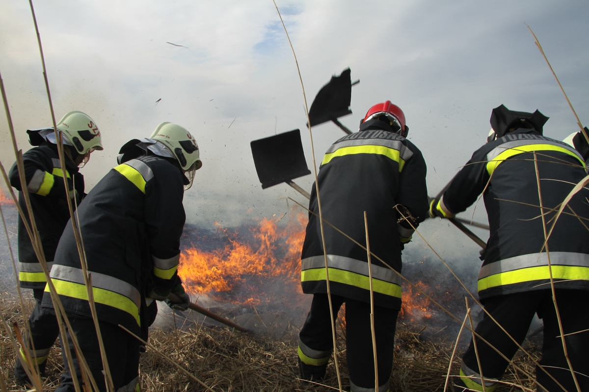 Előzzük meg a szabadtéri tűzeseteket - Fehérváron továbbra is tilos égetni