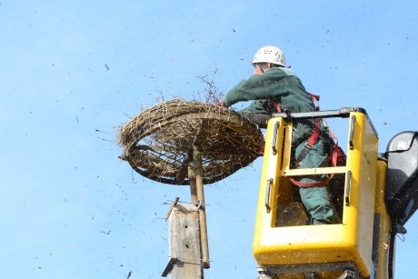 Új fészket kapott kedden délelőtt az Új Csóri úti gólyapár